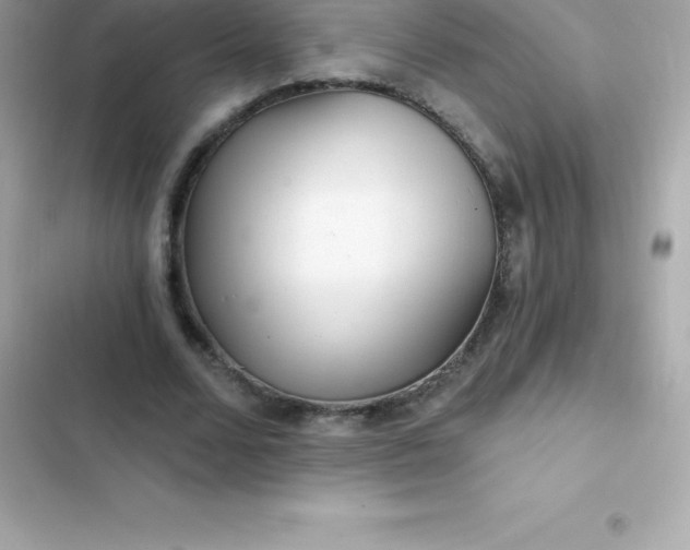 X0000103320680200809192141