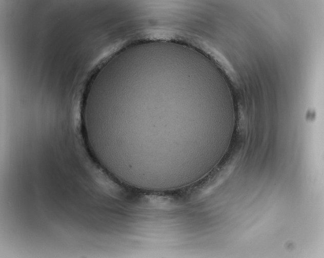 X0000103320681200809192141