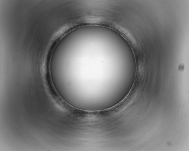 X0000103320682200809192141