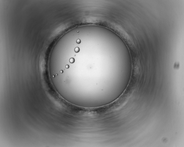 X0000103320683200809192141