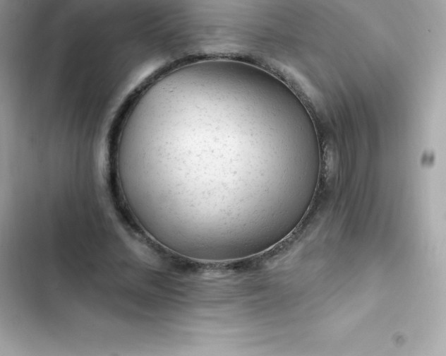 X0000103320684200809192141