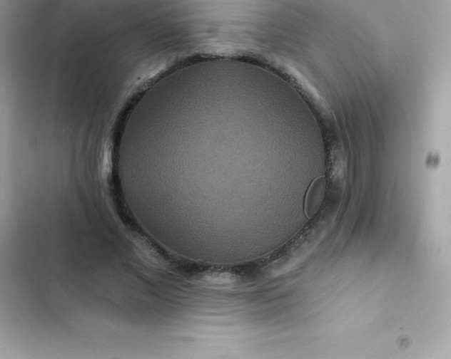 X0000103320685200809192141