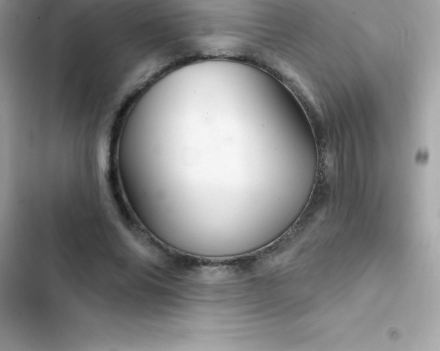 X0000103320686200809192141