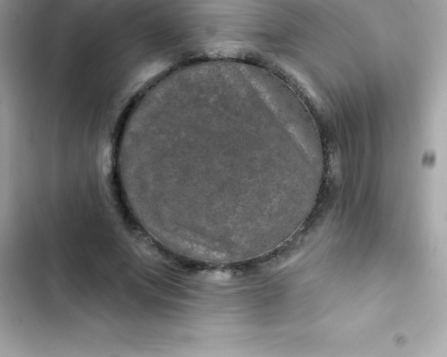 X0000103320687200809192141