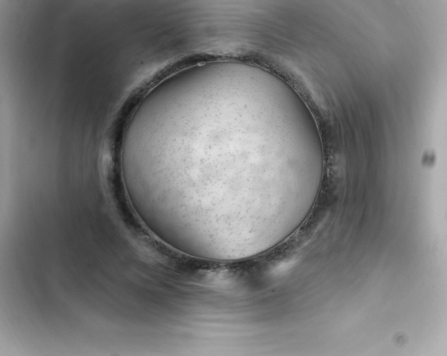 X0000103320688200809192141