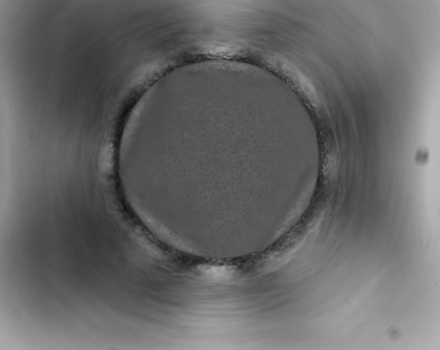 X0000103320689200809192141