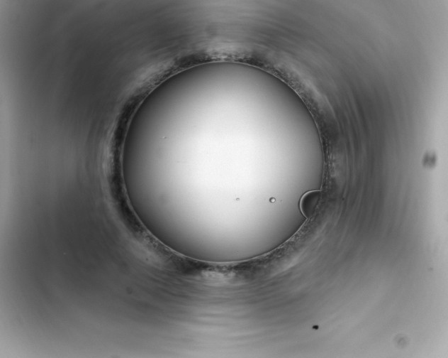 X0000103320690200809192141