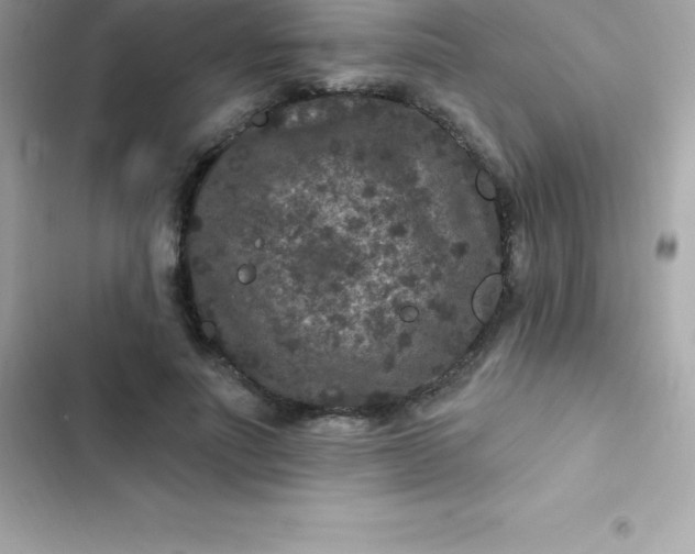 X0000103320691200809192141