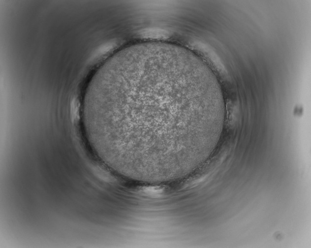 X0000103320692200809192141