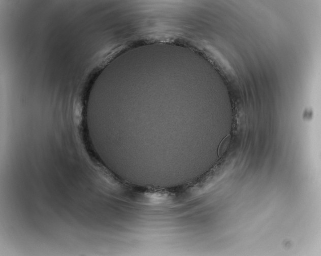 X0000103320693200809192141