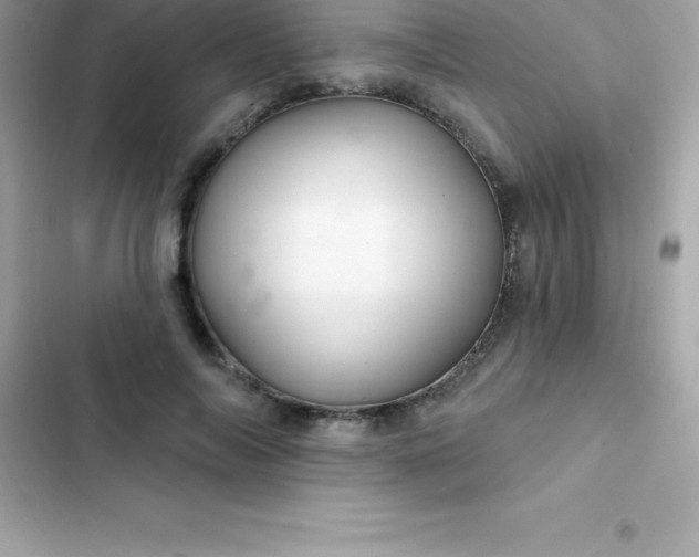 X0000103320694200809192141