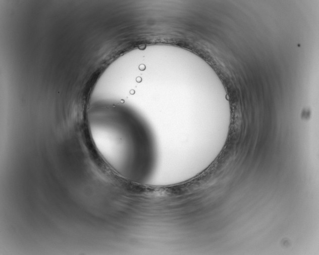 X0000103320695200809192141