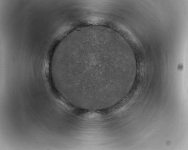 X0000103320696200809192141