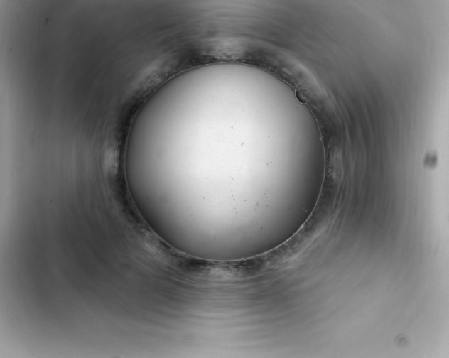 X0000103320697200809192141