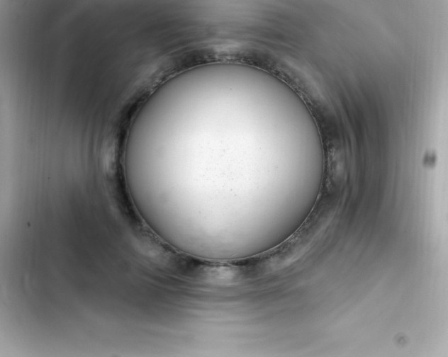 X0000103320698200809192141