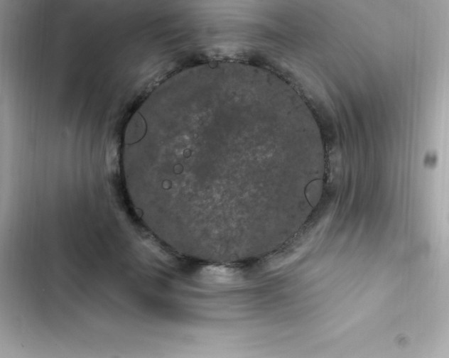 X0000103320699200809192141