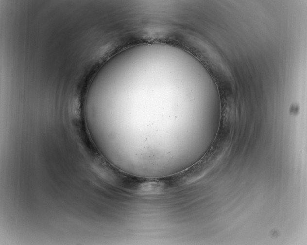 X0000103320700200809192141