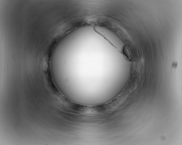 X0000103320702200809192141