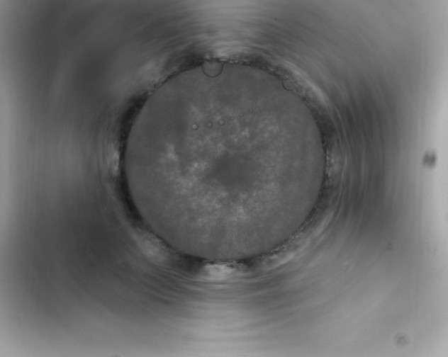 X0000103320703200809192141