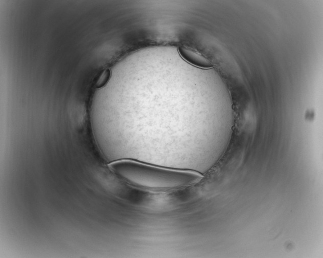 X0000103320704200809192141