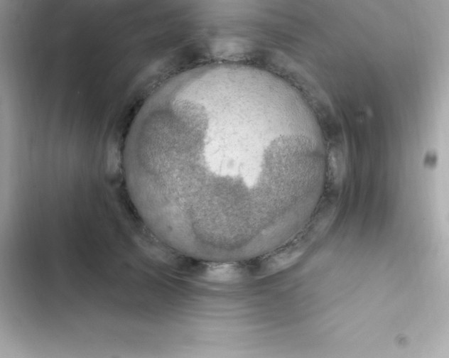 X0000103320705200809192141