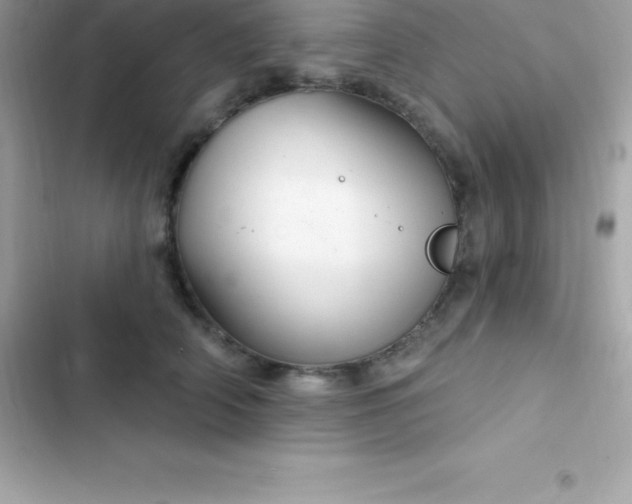 X0000103320706200809192141