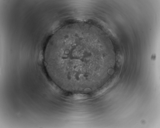 X0000103320707200809192140