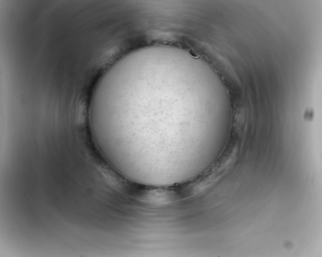 X0000103320708200809192140