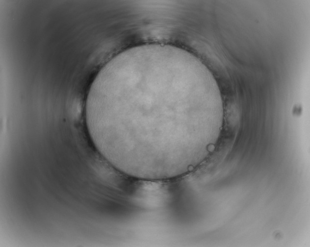 X0000103320709200809192140