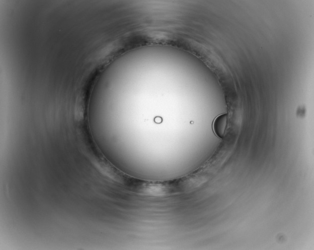 X0000103320710200809192140