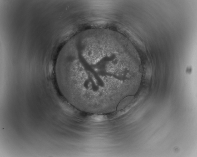 X0000103320711200809192140