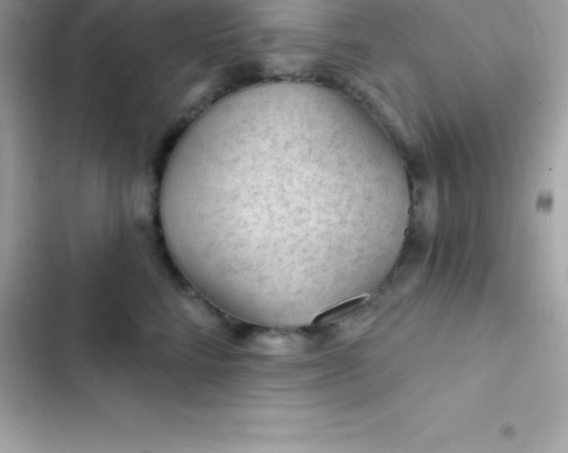 X0000103320712200809192140