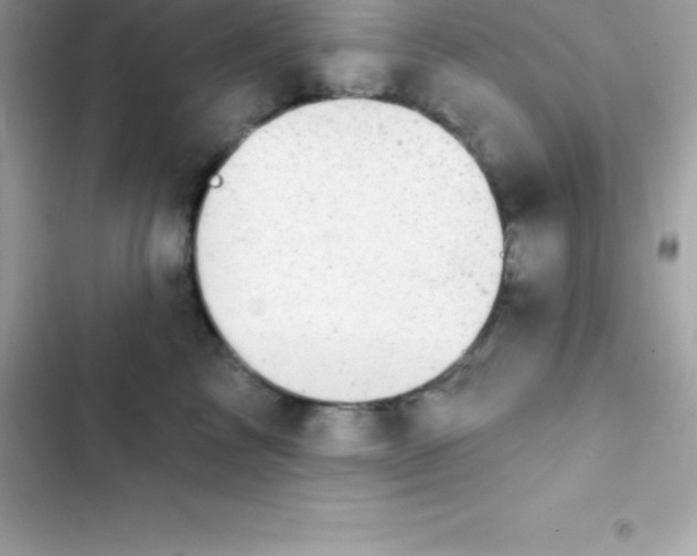 X0000103320713200809192140