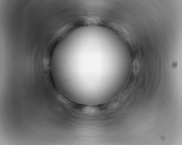 X0000103320714200809192140