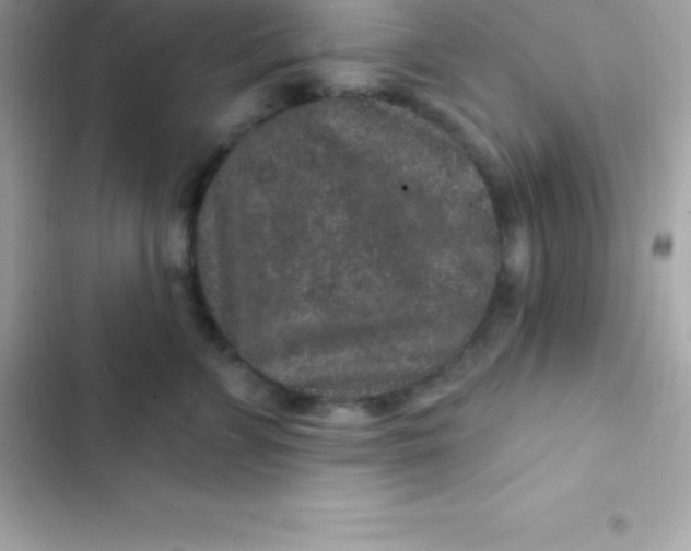 X0000103320715200809192140