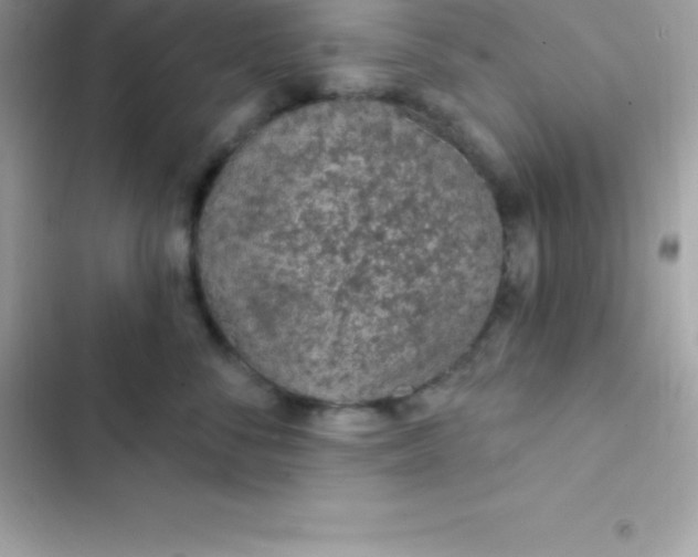 X0000103320716200809192140