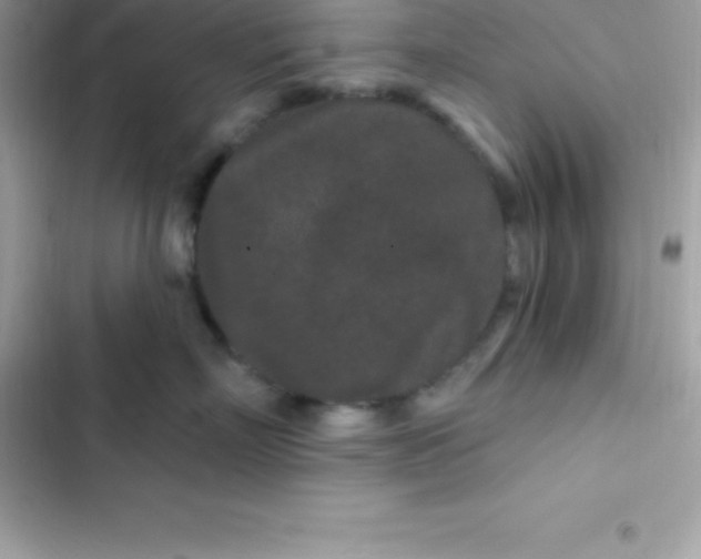 X0000103320718200809192140