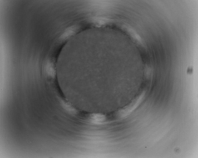 X0000103320719200809192140