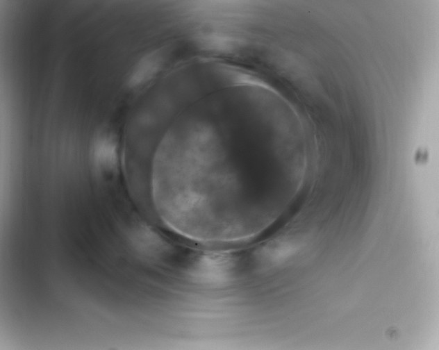 X0000103320720200809192140