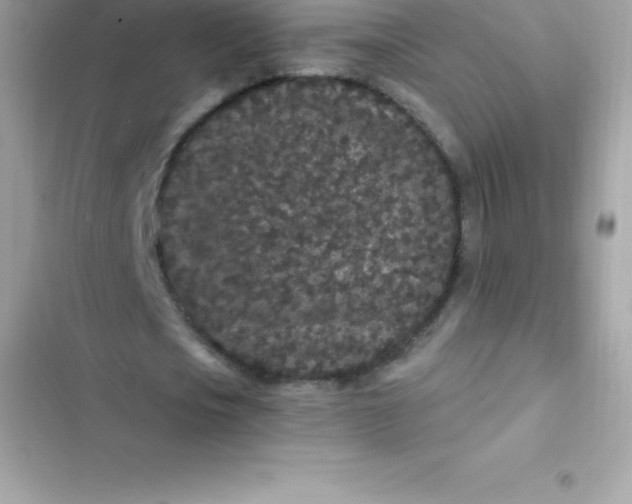 X0000103320721200809192139