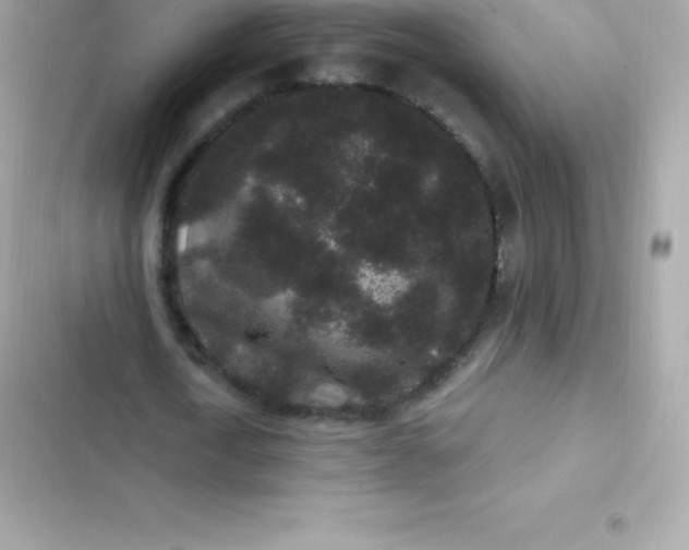 X0000103320722200809192139