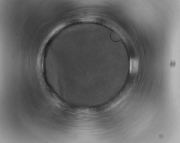 X0000103320723200809192139