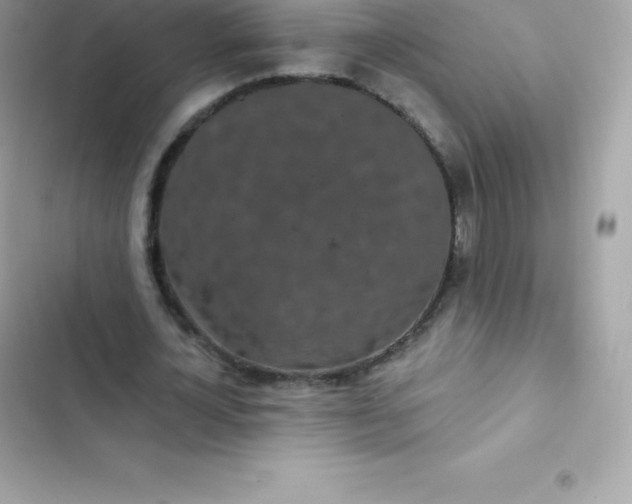 X0000103320724200809192140