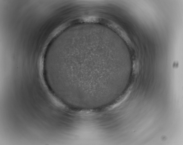 X0000103320725200809192140