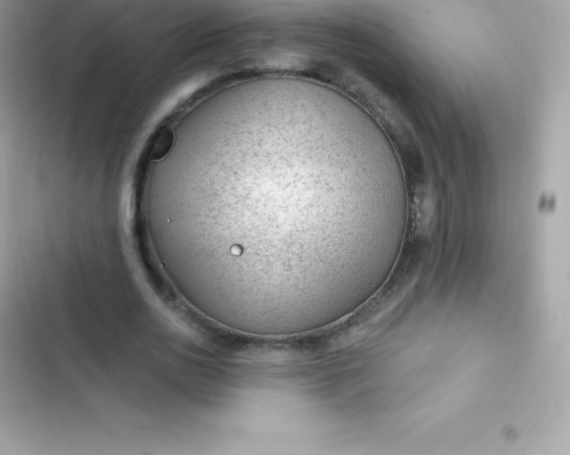 X0000103320726200809192140