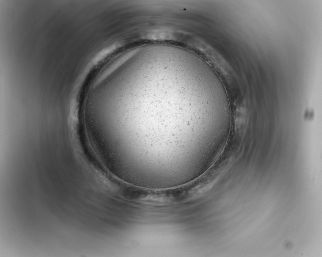 X0000103320727200809192140