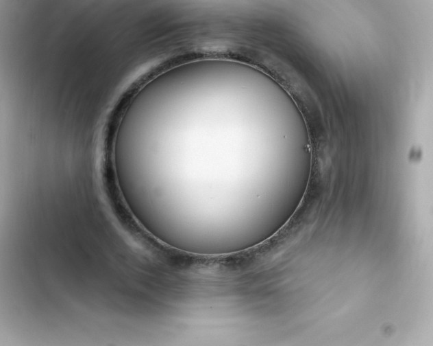 X0000103320728200809192140