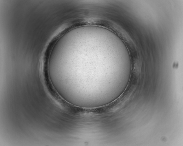 X0000103320730200809192140