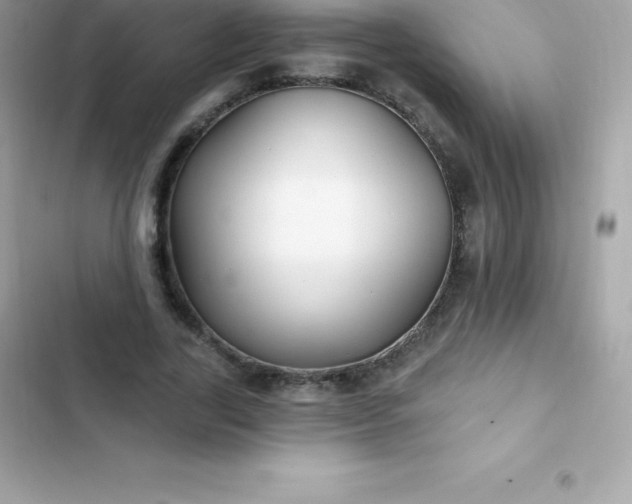 X0000103320731200809192140