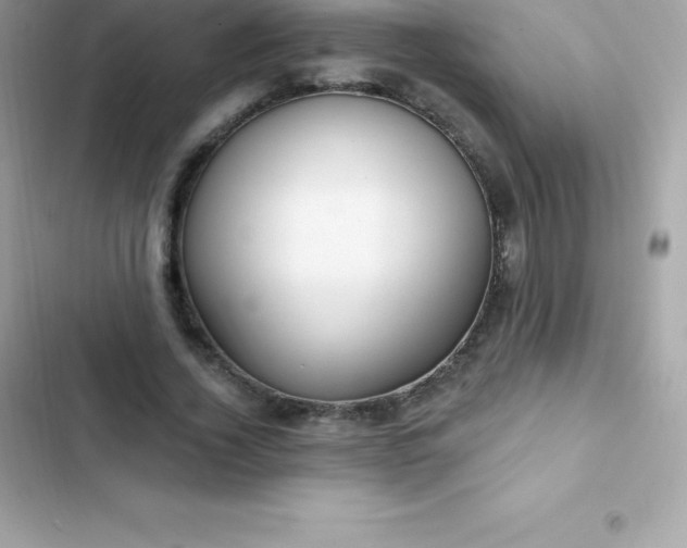 X0000103320732200809192140